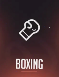 Rainbet Boxing Sportwetten